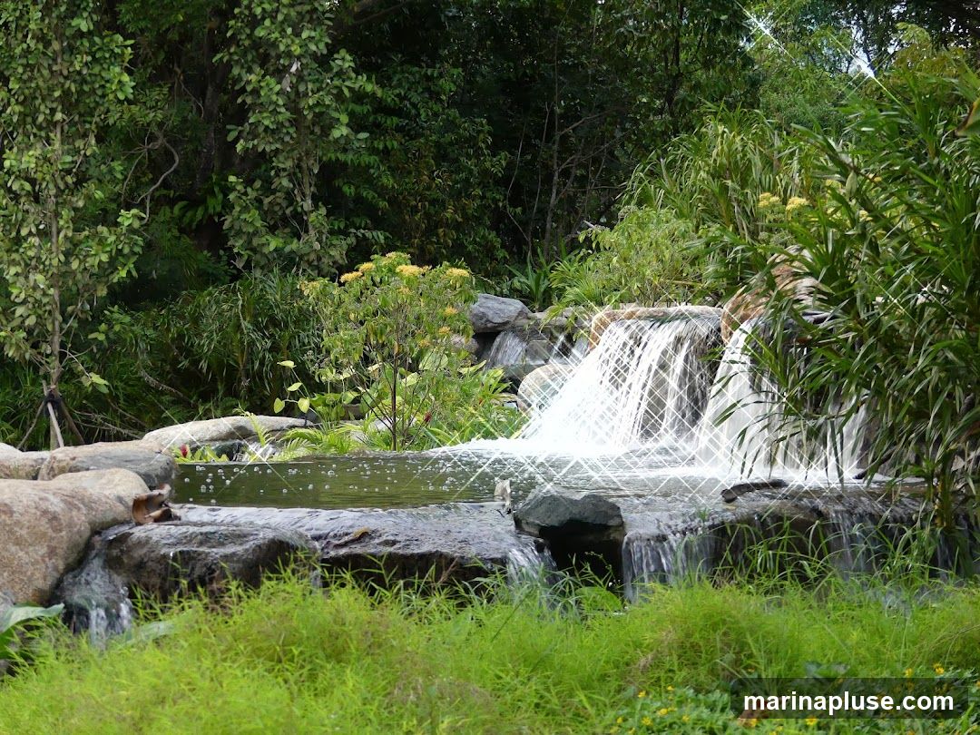 A serene scene of a multi-tiered waterfall cascading over rocks into a pool. The surrounding area is abundant with lush green foliage, including trees, bushes, and grasses. Small yellow flowers are scattered in the foreground. The water is clear and reflects the sunlight, creating a sparkling effect.