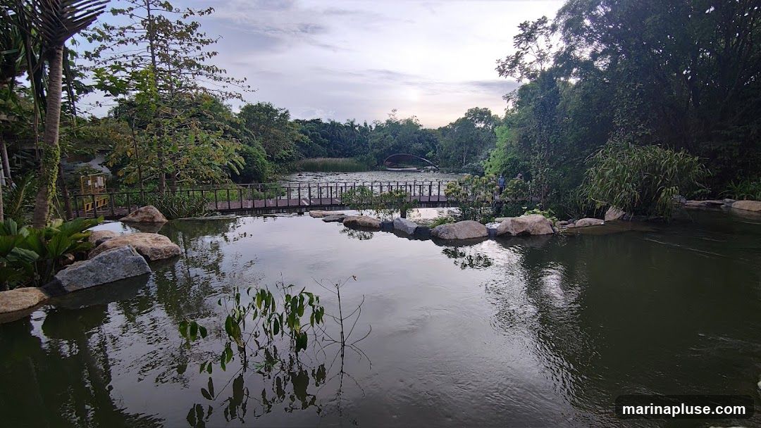 A serene natural landscape featuring a calm body of water reflecting the sky and surrounding greenery. A wooden bridge with a railing spans across the water, leading towards a distant archway structure. The banks are adorned with large rocks and various plants, including palm trees and dense foliage. The sky is overcast, suggesting a peaceful, possibly early morning or late afternoon setting.
