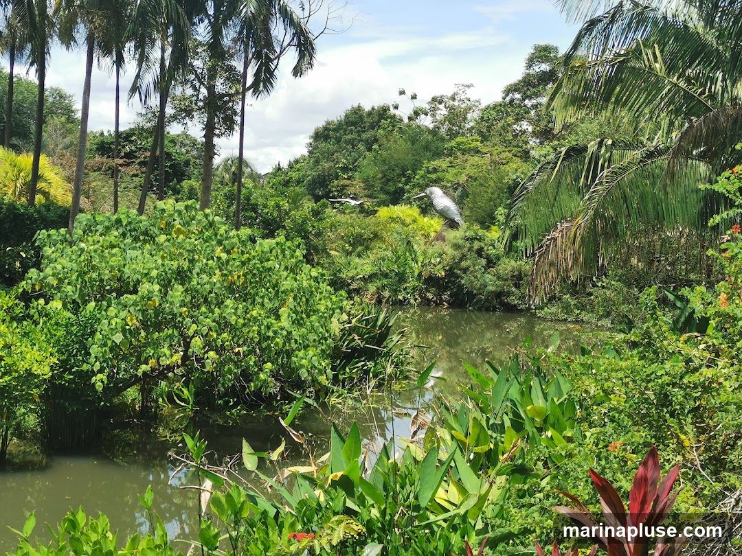 A serene view of a lush garden featuring a tranquil pond surrounded by dense foliage. Tall palm trees and various green plants create a vibrant, tropical atmosphere. In the background, a large bird sculpture is visible amidst the greenery, and a cable car system can be seen in the distance against a partly cloudy sky.
