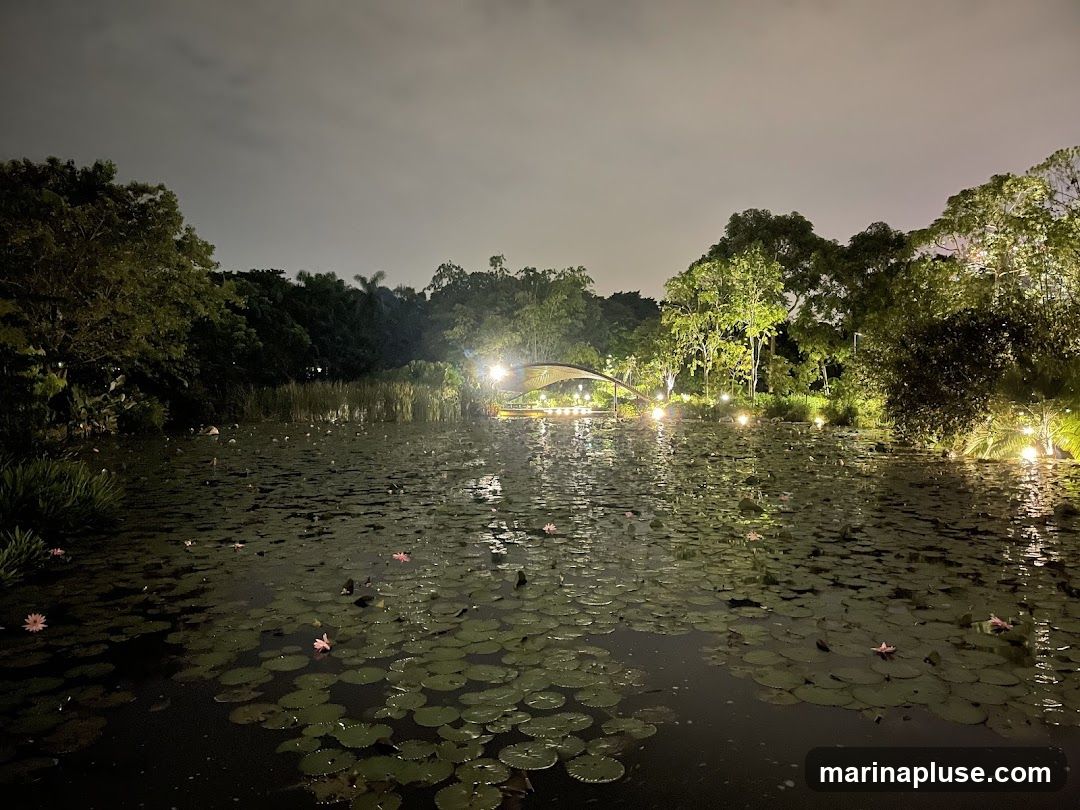 A tranquil pond filled with lily pads and a few pink water lilies is illuminated at night. In the background, trees are lit up, and a decorative bridge with lights spans across the water. The sky is dark and cloudy.