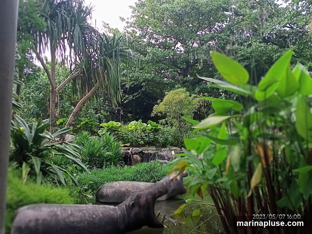 A zoo enclosure with two hippo sculptures in a pond, surrounded by lush greenery and trees. A small waterfall is visible in the background. The date and time stamp 2023/05/07 16:00 is in the bottom right corner.