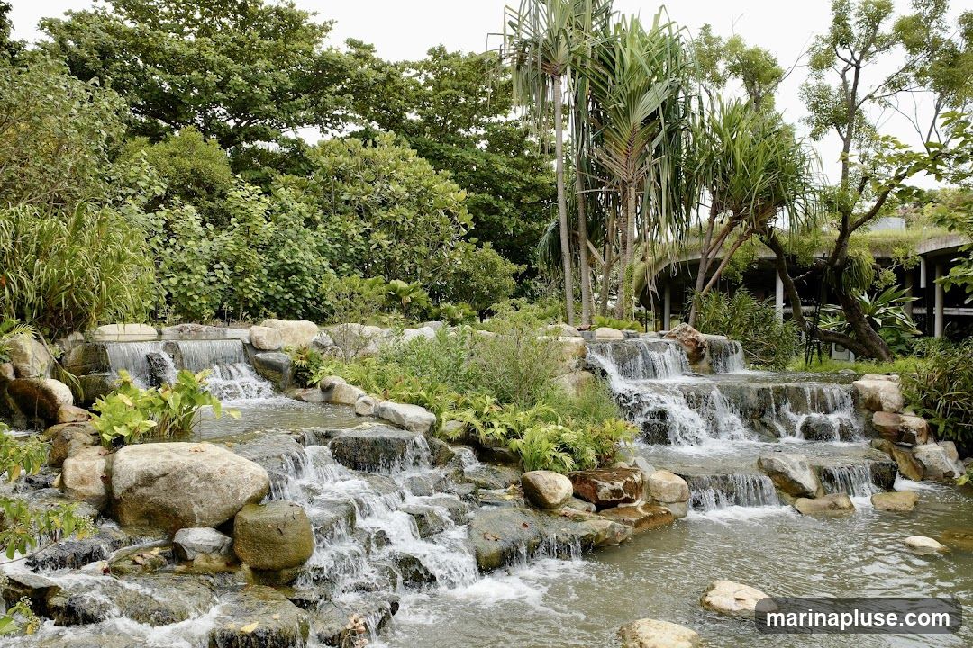 A serene landscape featuring multiple tiers of man-made waterfalls cascading over rocks into a calm pool of water. The scene is surrounded by abundant green foliage, including various trees, shrubs, and plants, creating a tranquil and naturalistic ambiance. In the background, a modern building with a green roof and architectural elements is partially visible, suggesting it is integrated with the natural environment.