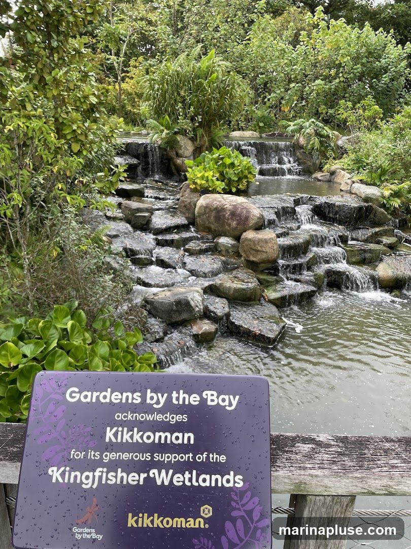 A sign in front of a waterfall at Gardens by the Bay acknowledges Kikkoman for their support of the Kingfisher Wetlands. The sign is purple with white text and features the Kikkoman logo. The background shows a lush, green environment with a multi-tiered waterfall cascading over rocks into a pool of water.