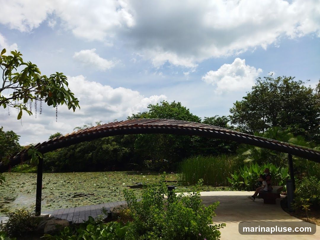 A serene park scene featuring a lily pond covered in lily pads and flowers. A curved wooden canopy provides shade over a paved walkway where two people are seated on a bench. Lush green trees and vegetation surround the pond and walkway, under a partly cloudy sky.