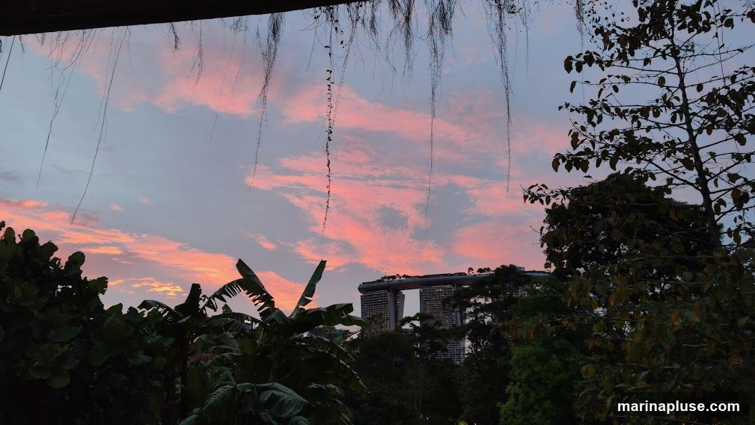 A picturesque sunset paints the sky with hues of pink and orange, visible through the silhouettes of lush green foliage and trees. In the distance, the iconic Marina Bay Sands hotel stands tall, its distinctive architecture illuminated against the twilight sky. Hanging vines add a natural, organic frame to the scene.