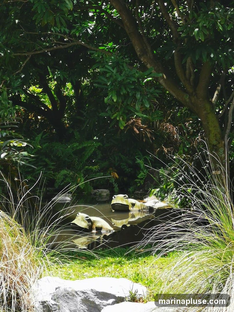 Three frog statues are partially submerged in a pond surrounded by lush greenery and tall grasses. The statues are light green and appear to be made of ceramic or concrete. The pond water reflects the surrounding foliage and the statues themselves. Large rocks are visible in the foreground and background.