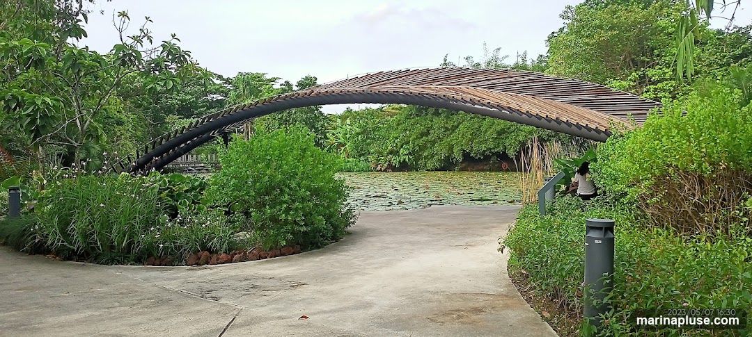 A paved pathway curves through a lush garden, leading towards a pond covered in lily pads. An architecturally interesting archway, constructed with dark metal supports and a slatted wooden roof, spans over the path and pond. Dense green foliage and trees surround the area, with a person visible in the background near the pond. The scene is captured on a cloudy day.