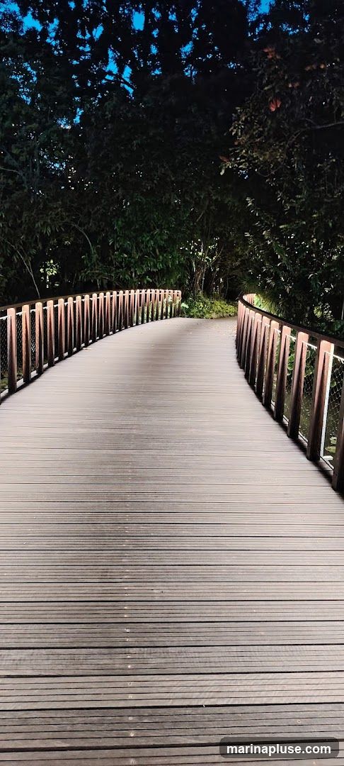 A wooden boardwalk curves through a dark forest at night. The boardwalk is illuminated by lights along its wooden railing, casting a warm glow on the wooden planks. The trees on either side are silhouetted against a dark blue sky.