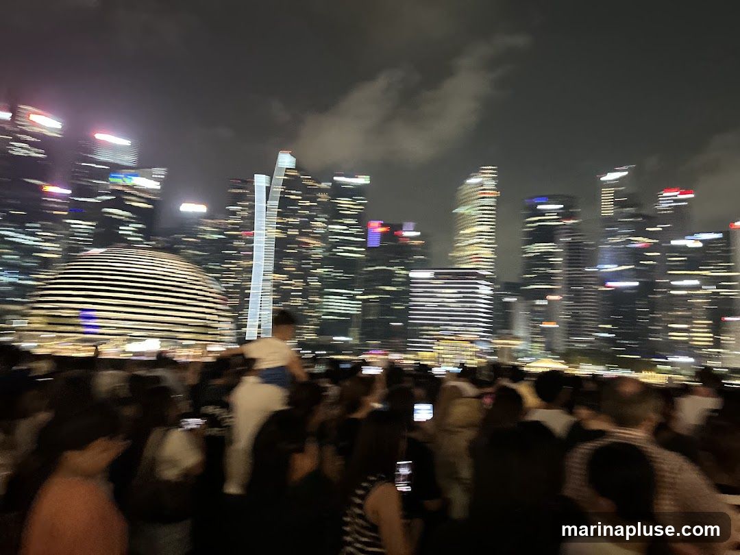A blurry nighttime photograph captures a crowd of people gathered in front of a city skyline. The buildings are illuminated with many lights, creating streaks due to motion blur. A distinctive domed structure is visible on the left, and tall skyscrapers dominate the background. The focus is on the overall atmosphere rather than specific details.
