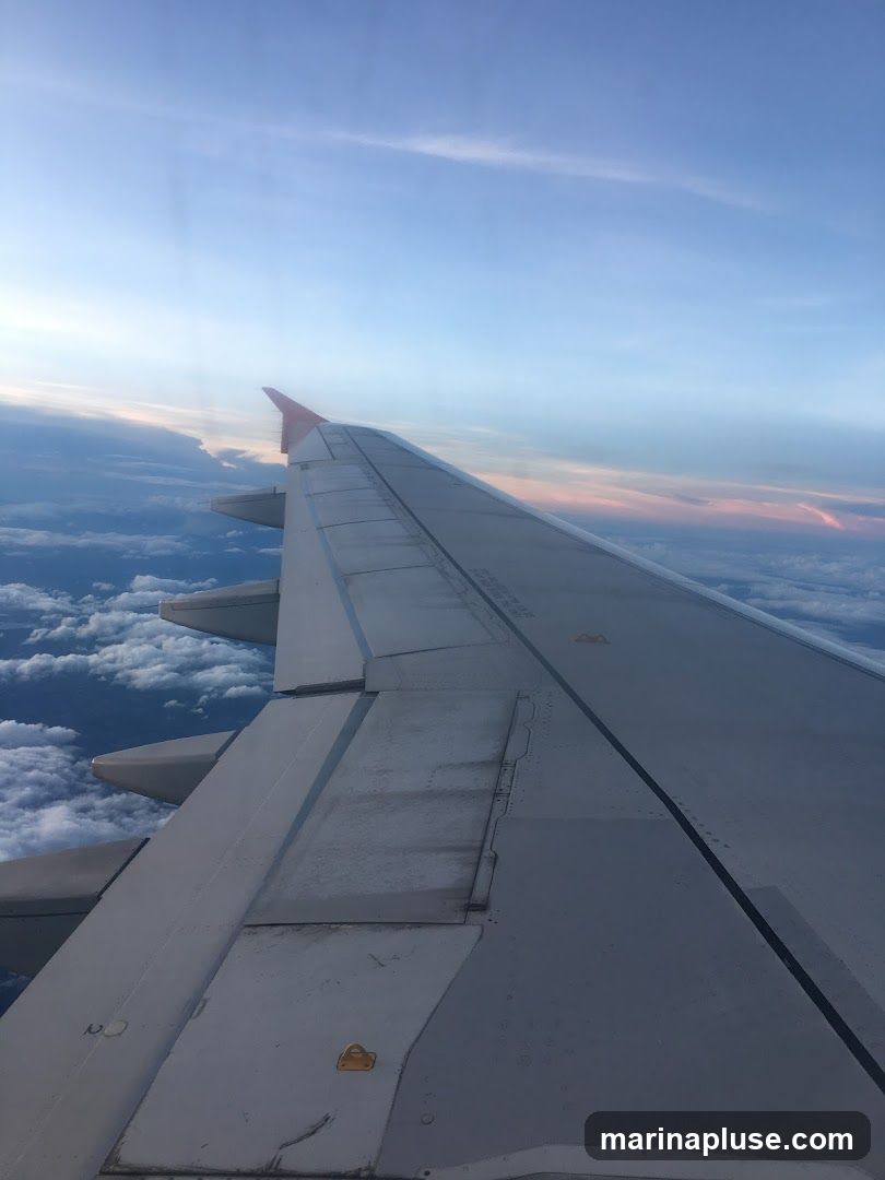 View from an airplane window shows the wing of the aircraft extending into the frame. Below the wing, a layer of white clouds is visible, with hints of blue sky and soft pink hues suggesting either sunrise or sunset. The sky above is a gradient of blue with wispy clouds.