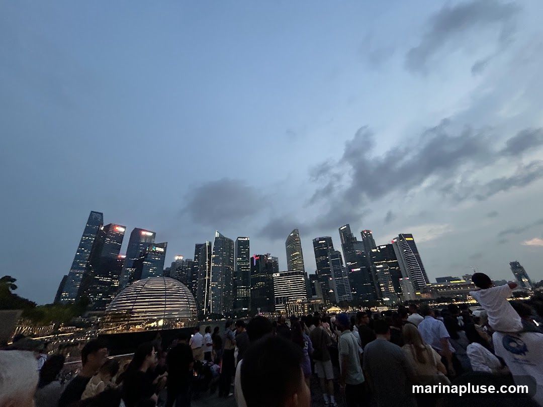 A large crowd of people are gathered outdoors, facing a city skyline at dusk. The sky is a deep blue with scattered clouds. The buildings in the skyline are illuminated with many lights. A distinctive domed structure is visible in the foreground of the skyline.