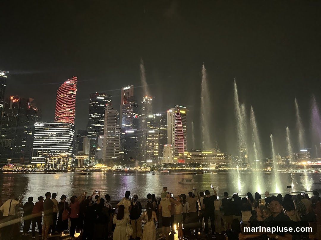A crowd of people watches a nighttime fountain show with a city skyline in the background. The buildings are illuminated, and the fountains are lit with colorful lights, creating a spectacular display over the water.