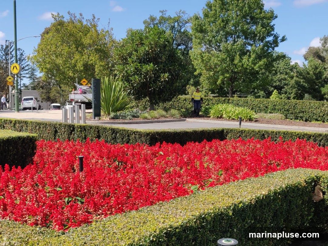 A well-maintained garden features vibrant red flowers in the foreground, bordered by manicured green hedges. In the background, a person in a high-visibility vest stands near a truck, with trees and a clear blue sky completing the scene.