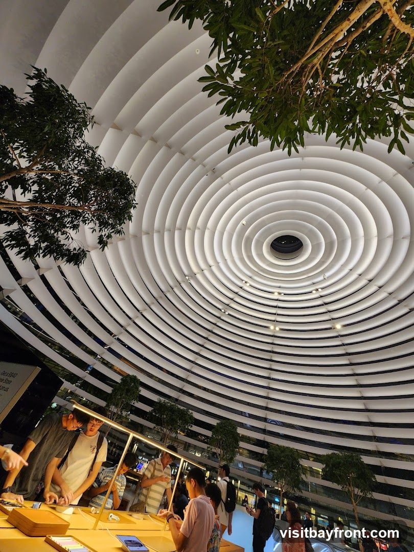 An interior view of a modern space with a distinctive concentric, ribbed ceiling. Green trees are placed strategically throughout the area. Several display tables are set up, showcasing products, and people are browsing and interacting with them. The lighting is bright and contemporary.