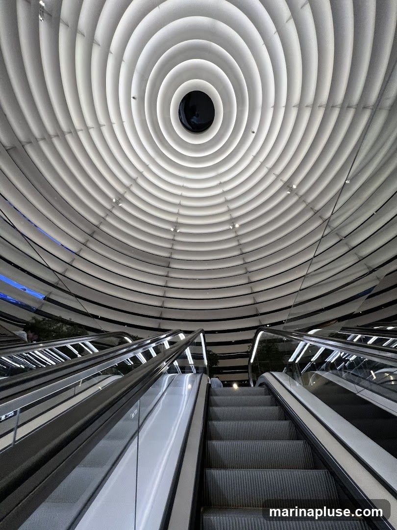 A low-angle shot looking up at two escalators ascending towards a striking, circular, ribbed ceiling. The ceiling features concentric rings that converge towards a dark central point. The escalators have sleek, metallic handrails and glass barriers, with illuminated steps. The overall impression is one of modern architecture and design.