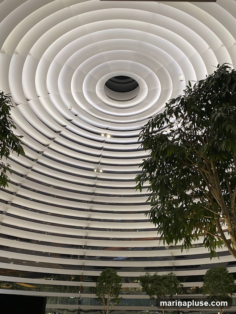 An interior view looking up at a striking modern ceiling composed of concentric white rings, illuminated from within. The rings create a sense of depth and a futuristic aesthetic. Several trees with lush green foliage are positioned within the space, adding a natural element to the contemporary design. The lower portion of the image shows reflections in glass, suggesting a large indoor area like a mall or atrium.