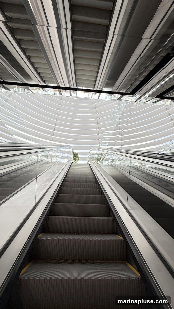 A view looking up at two escalators ascending in a modern building with a curved, reflective ceiling. The escalators have dark treads and glass balustrades. The ceiling features a series of parallel, curved white panels interspersed with metallic beams, creating a dynamic architectural effect. A tree is visible through the ceiling structure at the top.