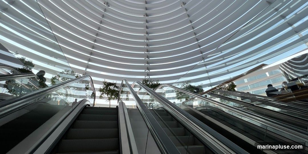 A wide-angle shot captures multiple escalators ascending within a modern building. The escalators have glass railings and dark treads. Above, a distinctive curved ceiling is formed by parallel, light-colored slats, creating a ribbed effect. The ceiling is illuminated by natural light filtering through a glass roof, which also reflects the surrounding architecture and trees. Silhouettes of people can be seen on the escalators and in the reflected environment.
