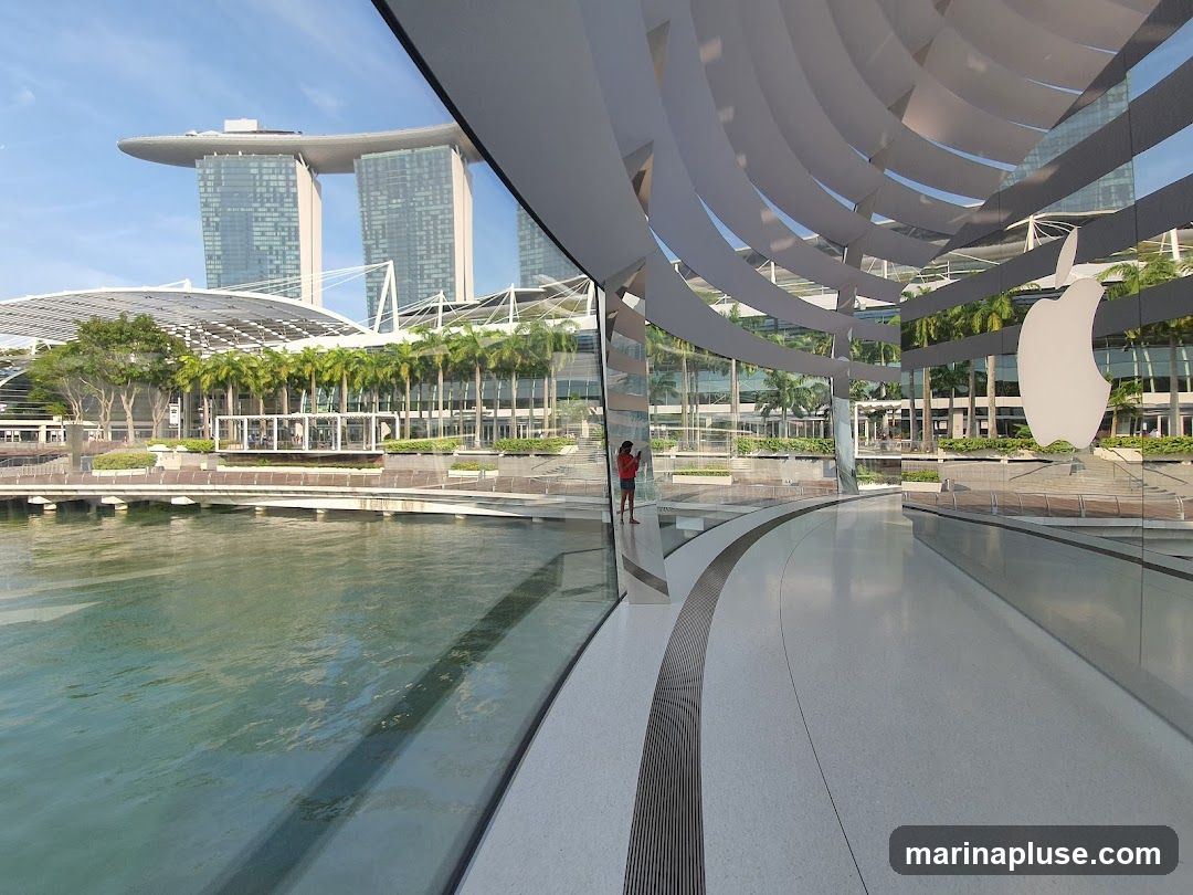A view from inside a modern Apple Store, looking out through a large glass facade. The iconic Apple logo is visible on the glass. Outside, palm trees and the Marina Bay Sands buildings are visible across a body of water. A person stands near the glass, looking at their phone.