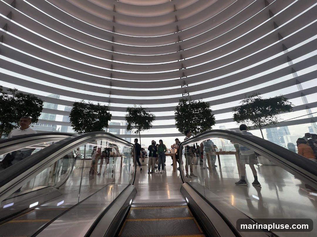 An interior view of a modern building with a curved, ribbed ceiling. Two escalators with glass railings are prominent in the foreground, leading upwards. Several people are visible on and around the escalators. Trees are placed strategically throughout the space, and large windows in the background offer a view of a city skyline. The overall impression is one of a spacious, contemporary retail or public space.