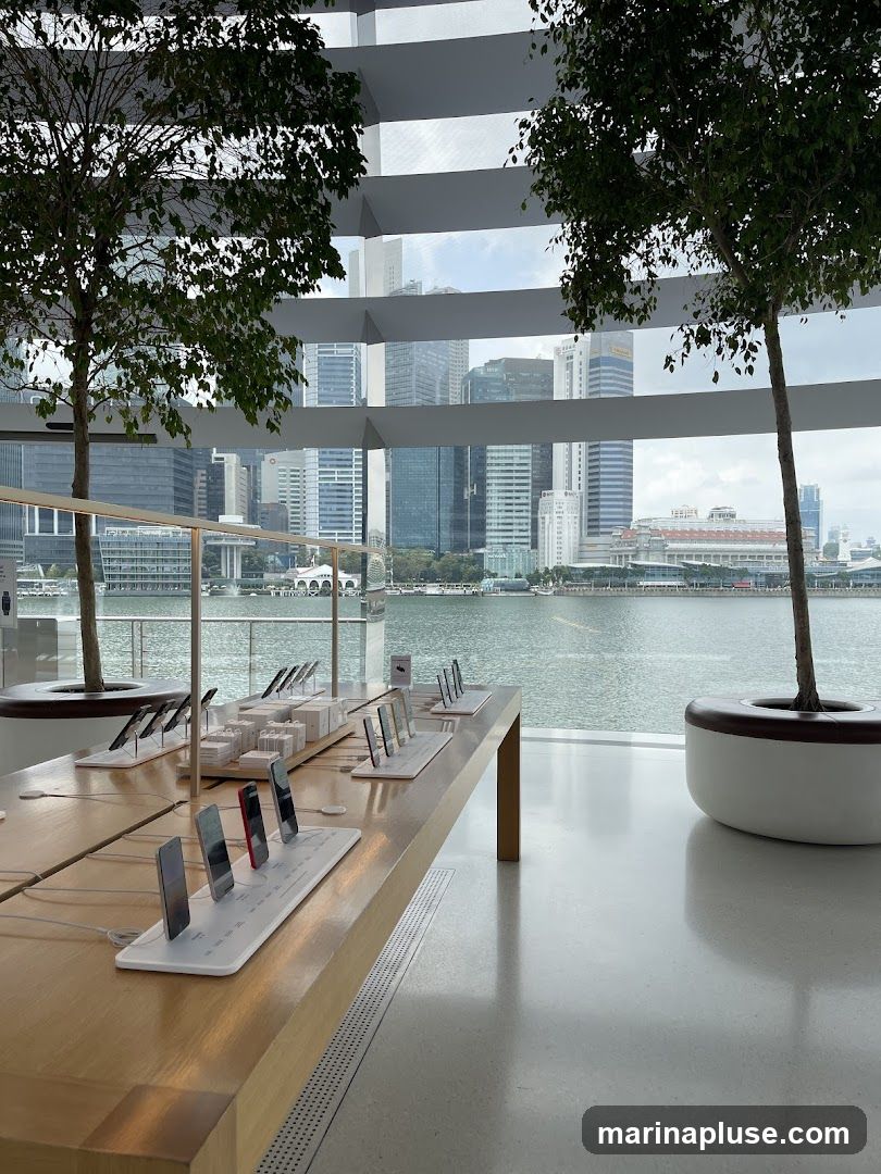 Interior of a modern store with large windows overlooking a city skyline and a body of water. Display tables showcase various electronic devices, likely smartphones, arranged neatly. Two potted trees are placed near the windows, adding a touch of nature to the minimalist design. The overall ambiance is clean, bright, and spacious.