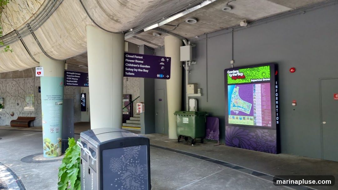 Bottle Refilling Station - Supertree Grove