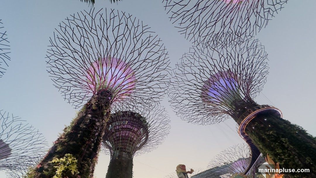 Bottle Refilling Station - Supertree Grove