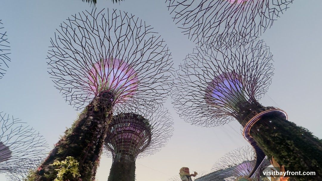 Bottle Refilling Station - Supertree Grove