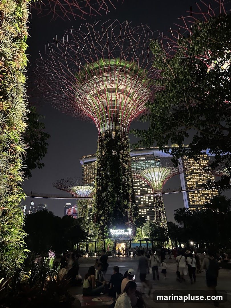A nighttime view of the Supertree Grove at Gardens by the Bay, Singapore. The iconic Supertrees are illuminated, with their intricate structures and surrounding foliage visible. In the background, the Marina Bay Sands hotel complex is lit up. People are gathered in the foreground, enjoying the spectacle.