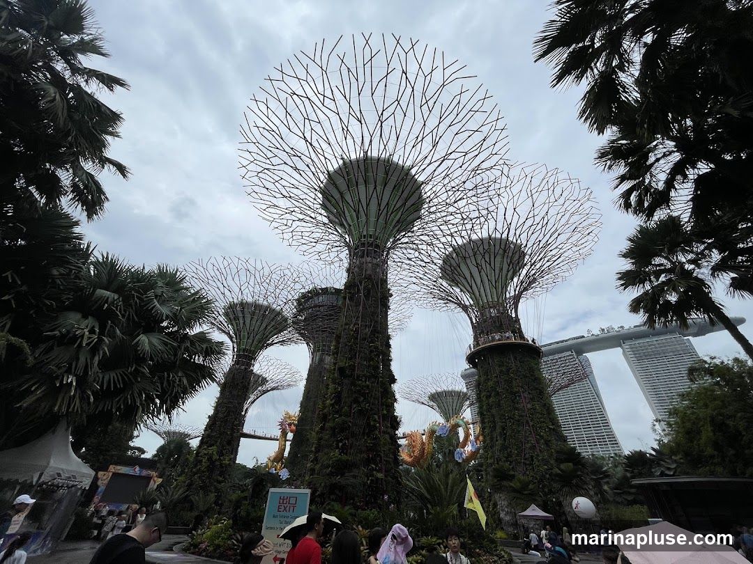 A wide-angle shot of the Supertrees at Gardens by the Bay, Singapore. The iconic structures, resembling giant trees, are covered in lush greenery and topped with intricate metal canopies. In the background, the Marina Bay Sands hotel complex is visible. The sky is overcast, and several palm trees frame the scene. People are seen walking around the grounds, suggesting a public park or attraction.