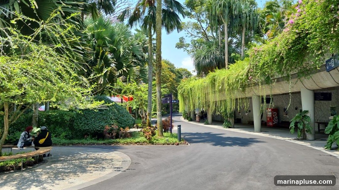 A paved pathway winds through a vibrant garden filled with lush greenery, palm trees, and hanging vines. Two people are seated on a bench under a tree on the left side of the path. On the right, a covered walkway features a red vending machine and various plants. The scene is bathed in sunlight, creating dappled shadows on the ground.