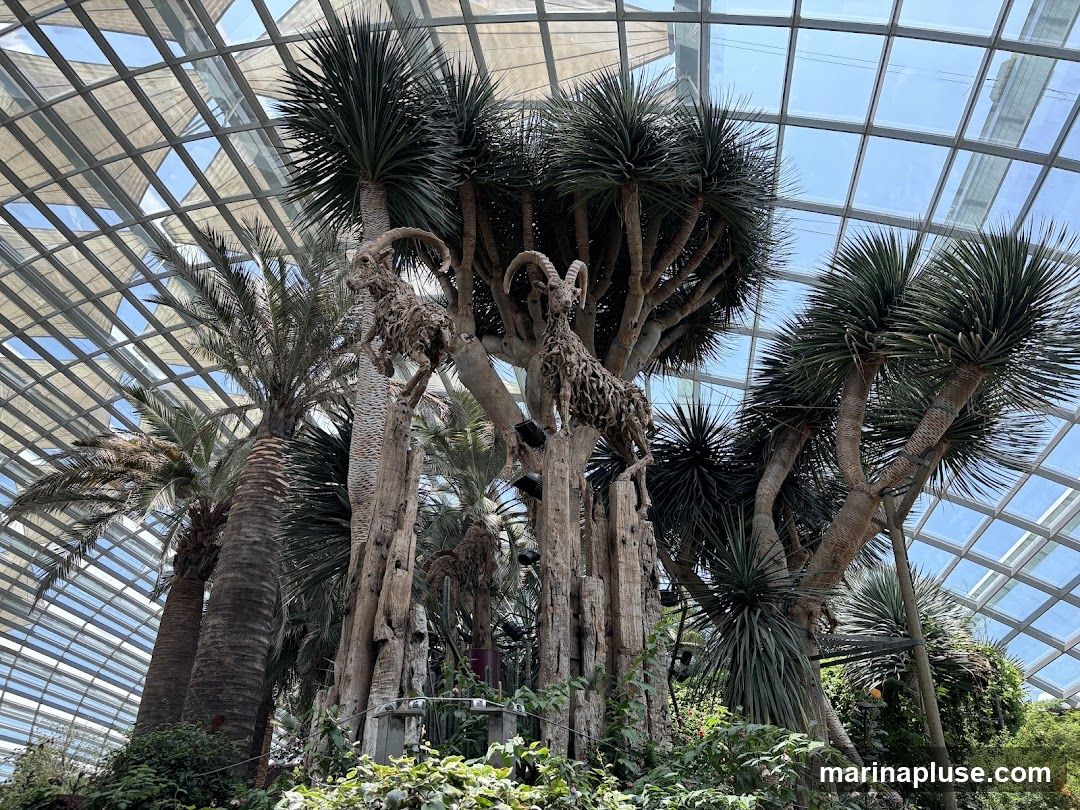 A view from within a large greenhouse or conservatory, featuring a collection of tropical plants, including palm trees and spiky dracaena-like trees. The ceiling is a geodesic dome structure made of glass and metal. A prominent feature is a sculptural element resembling a goat, crafted from natural materials, positioned on a tree trunk. Lush green foliage covers the ground level.