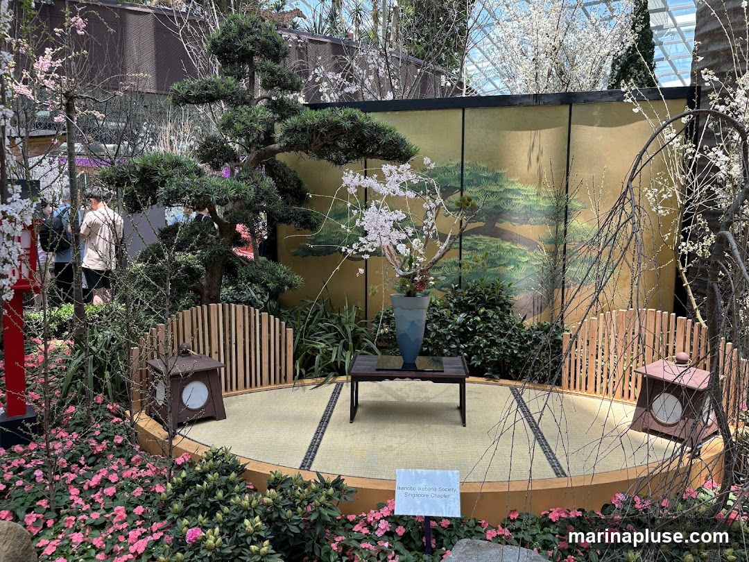 A serene Japanese garden display featuring a bonsai tree, cherry blossoms, and a traditional tatami mat area. A low table with a vase of flowers sits in the center, flanked by decorative lanterns. A painted screen with a pine tree motif forms the backdrop. Pink flowers and lush greenery surround the display. A small sign reads "Ikebana Ikebana Society, Singapore Chapter".