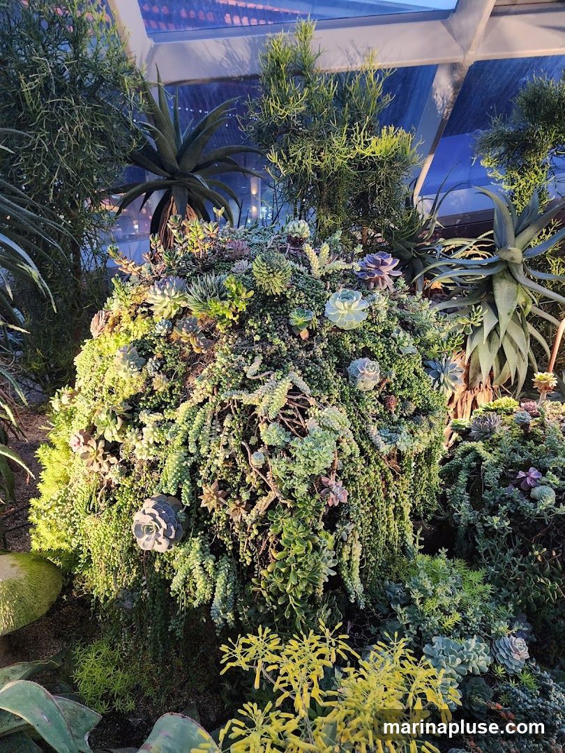 A large, rounded display of various succulents and other plants, densely packed together. The plants vary in color, texture, and form, with some trailing downwards and others growing upright. The display is illuminated by warm lighting, highlighting the intricate details of the foliage. In the background, a glass ceiling or wall is visible, with hints of the sky or an urban landscape beyond.