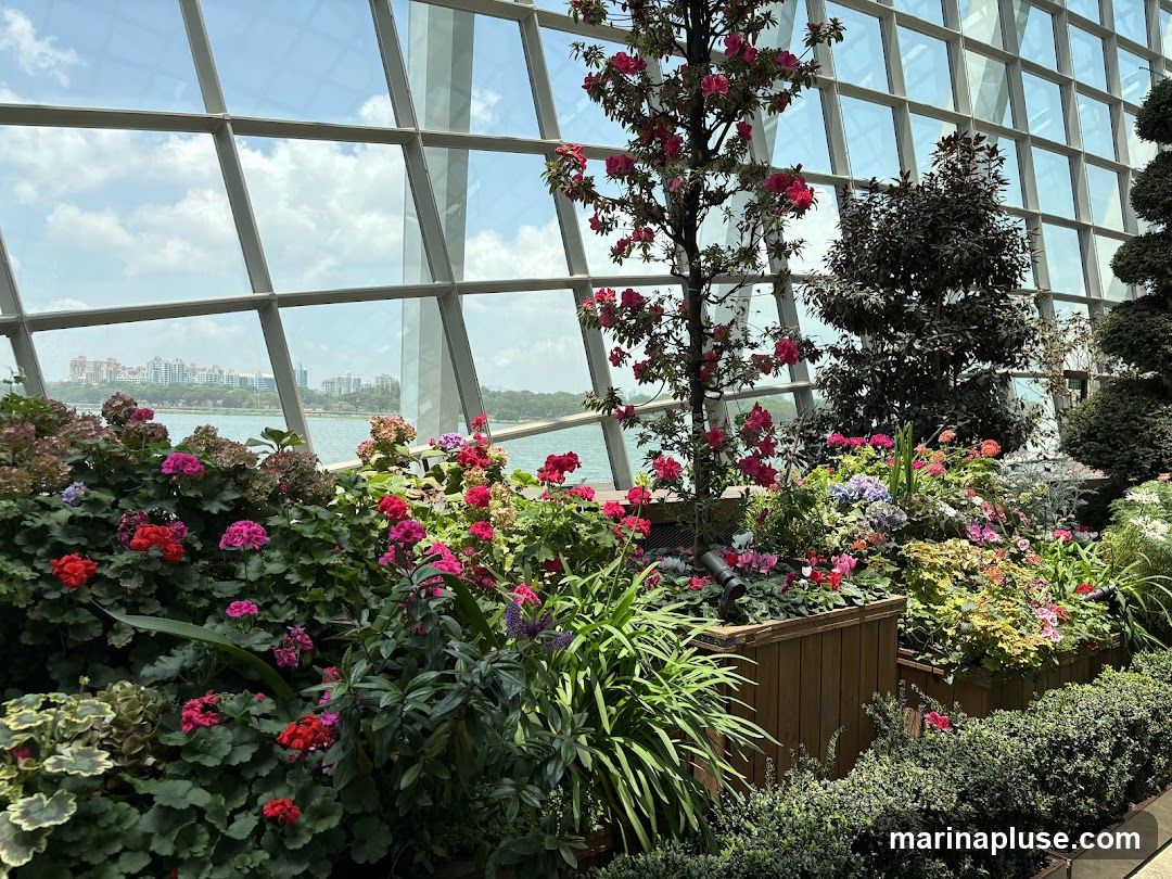 A lush indoor garden filled with a variety of flowering plants and greenery, set against a backdrop of a large glass-paneled ceiling. Through the windows, a cityscape with buildings and a body of water can be seen under a bright, cloudy sky.