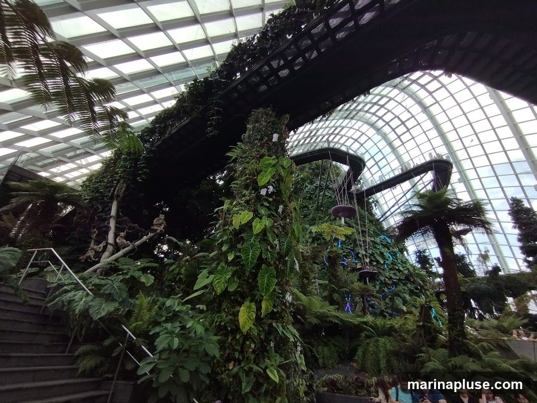 An indoor botanical garden with lush greenery, including ferns, palm trees, and climbing vines. Elevated walkways wind through the space, and a glass dome ceiling allows natural light to filter in. Several people are visible on the walkways and in the foreground.