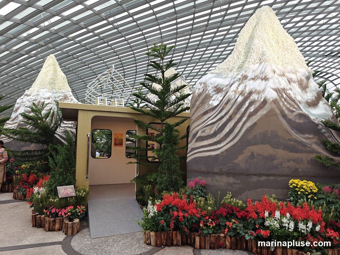 A display featuring two large, artificial mountains covered in white and brown floral arrangements, resembling snow-capped peaks. In front of the mountains is a structure designed to look like a train car, with an open entrance and windows. The train car has a sign with the word "ZURICH" and a poster depicting a Swiss landscape. The display is surrounded by a variety of colorful flowers and greenery, all under a glass-paneled roof.