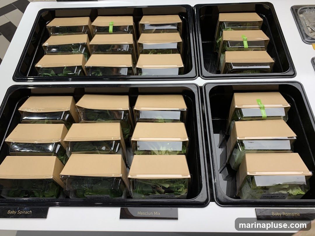 A display of pre-packaged salads in clear plastic containers with brown cardboard lids, arranged in black trays. The salads appear to be stacked. Labels indicate 'Baby Spinach', 'Mesclun Mix', and 'Baby Romaine'.