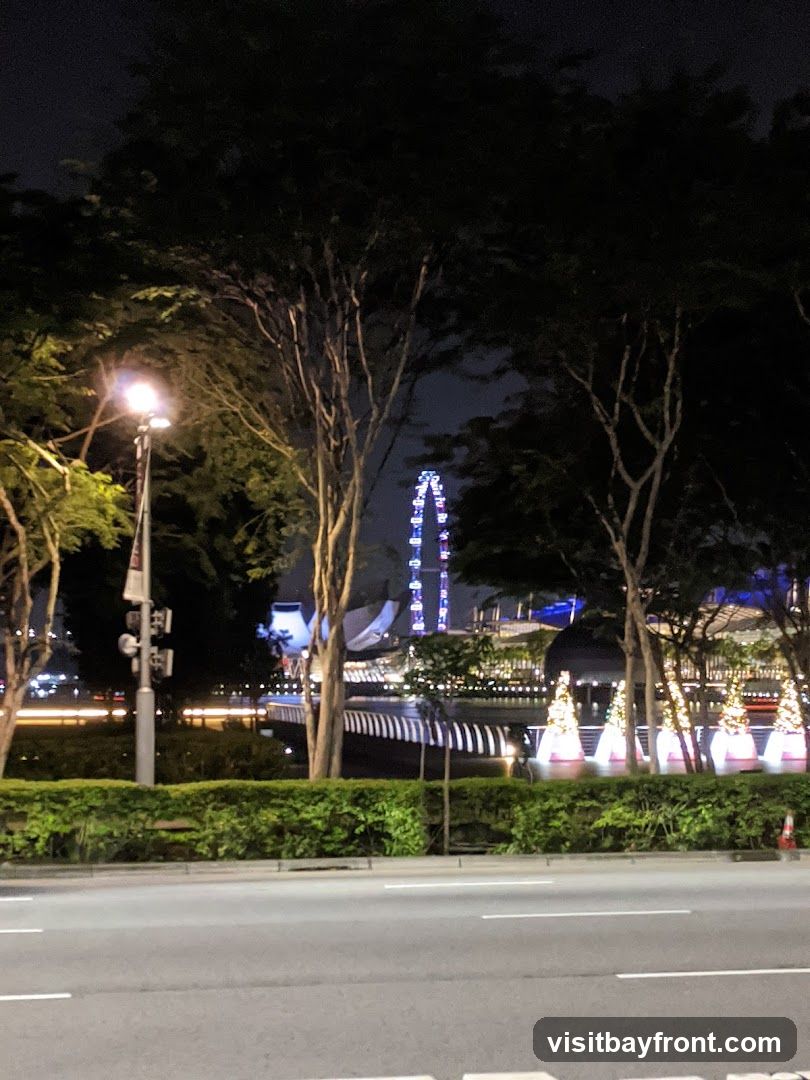 A nighttime view of a cityscape, featuring a large Ferris wheel in the distance, illuminated by blue lights. In the foreground, trees with bare branches are silhouetted against the dark sky. A street lamp on the left casts a warm glow. The middle ground shows a body of water with a bridge and several trees decorated with white lights, resembling Christmas trees. The overall scene suggests a festive urban environment at night.