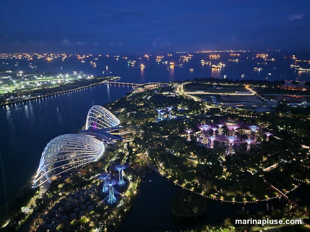 SkyPark Observation Deck