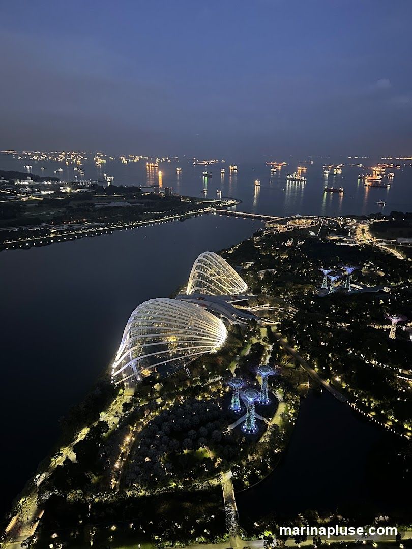 An aerial view of Gardens by the Bay in Singapore at night. The iconic Supertree Grove and the large conservatories are illuminated, with many ships visible in the bay in the background.