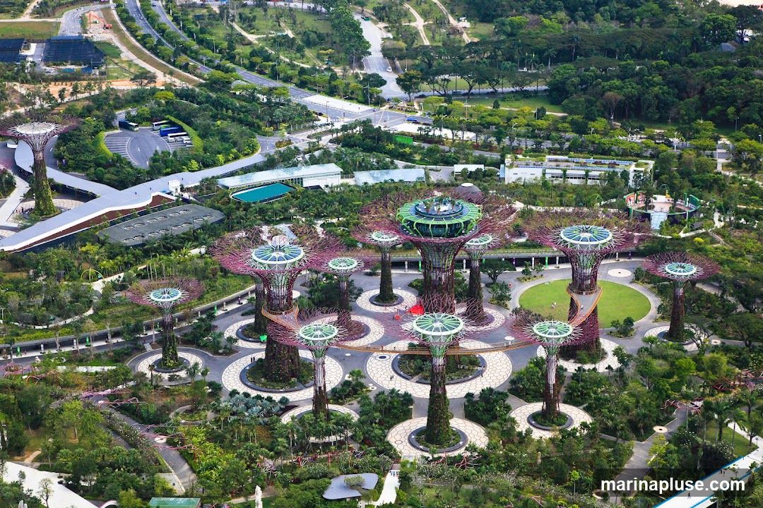 An aerial view of the Supertree Grove at Gardens by the Bay, Singapore. The iconic Supertrees, vertical gardens that mimic trees, are surrounded by lush greenery and pathways. In the background, roads, buildings, and more parkland are visible.