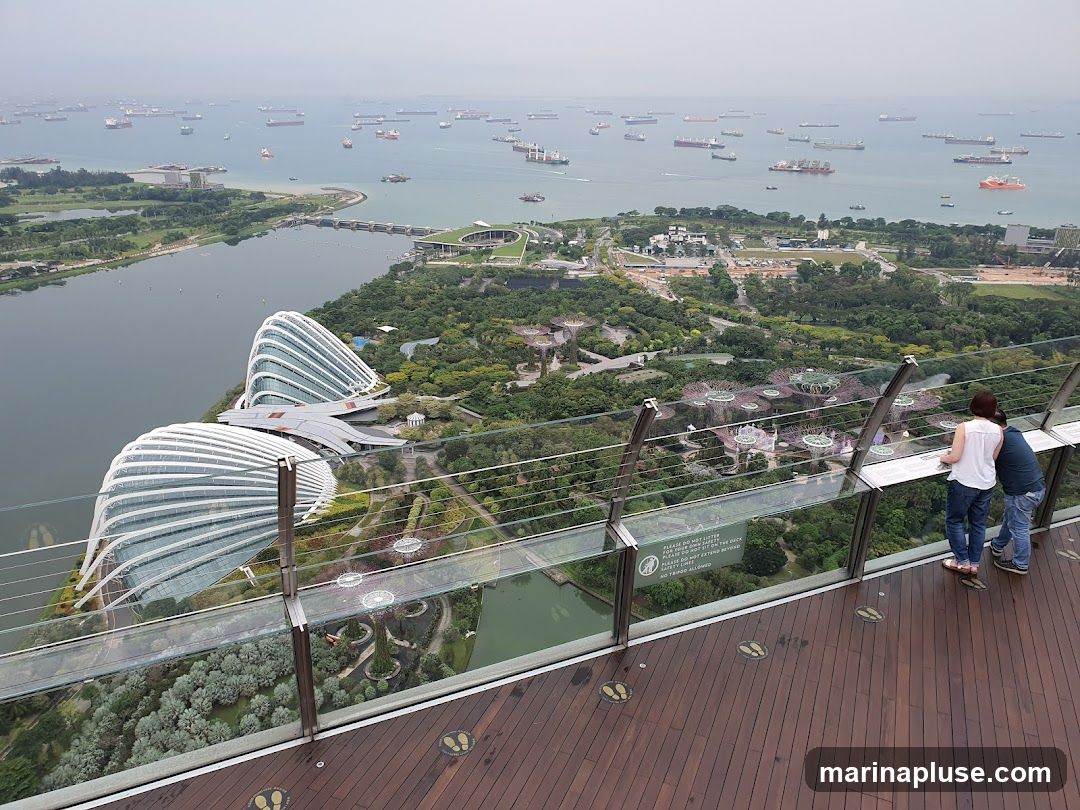 An elevated view captures the iconic Supertree Grove and Cloud Forest domes of Gardens by the Bay, Singapore. Two individuals stand on a wooden deck, looking out at the expansive landscape. In the background, the Singapore Strait is dotted with numerous cargo ships, indicating a busy maritime route. The sky is overcast, lending a soft, diffused light to the scene.