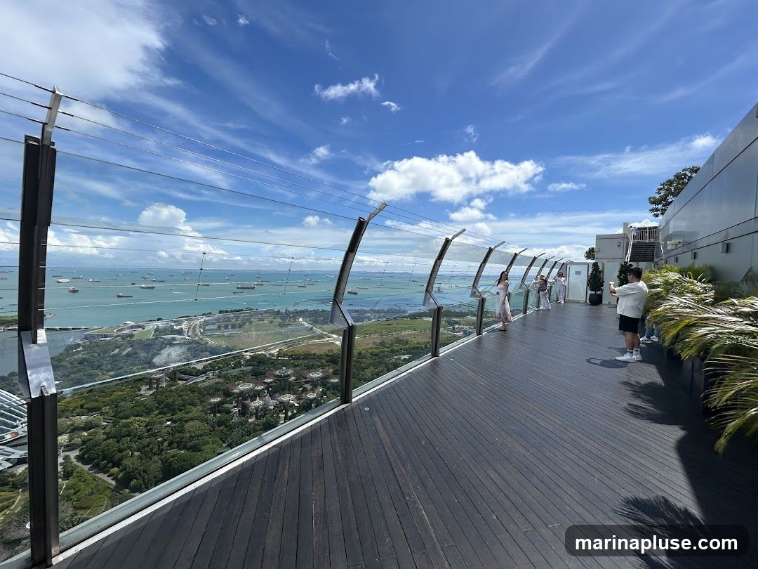 An elevated wooden deck with a glass barrier overlooks a vast expanse of the sea dotted with numerous ships. Below, a green landscape with buildings and trees is visible. Several people are standing on the deck, some taking photos. The sky is blue with scattered white clouds.