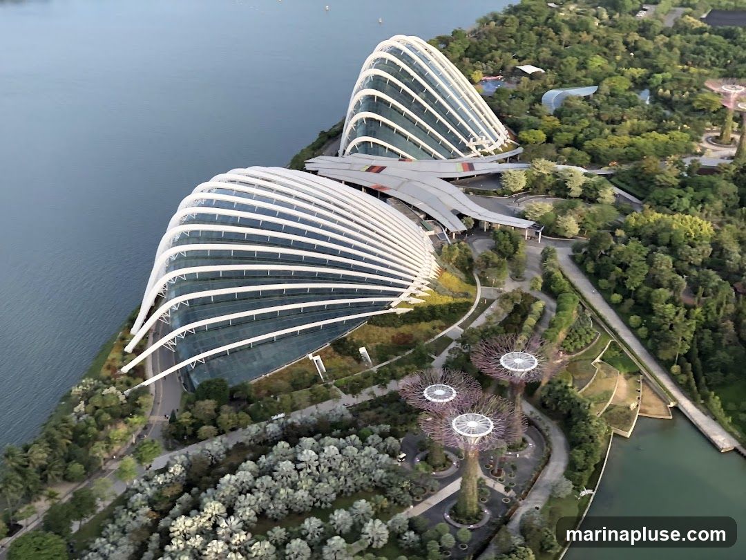 An aerial view of Gardens by the Bay in Singapore, showcasing the iconic Supertree Grove and the large conservatories. The structures are surrounded by lush greenery and water bodies.