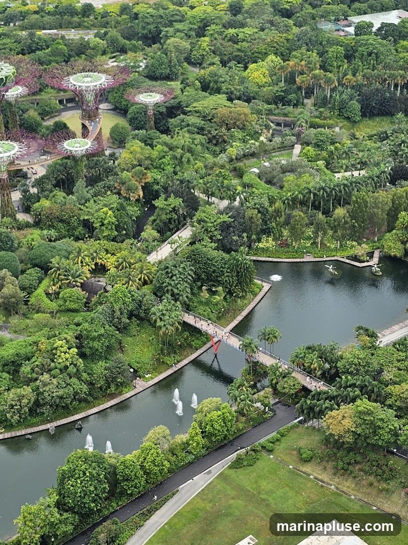 An aerial view of Gardens by the Bay in Singapore, showcasing the iconic Supertree Grove, lush greenery, and a tranquil lake with fountains. People are seen walking across bridges that span the water, enjoying the expansive park.