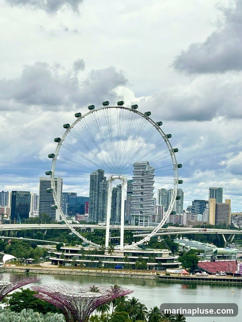 A wide shot of the Singapore Flyer Ferris wheel against a cloudy sky, with the city skyline and Marina Bay in the background. The Gardens by the Bay Supertrees are visible in the foreground.