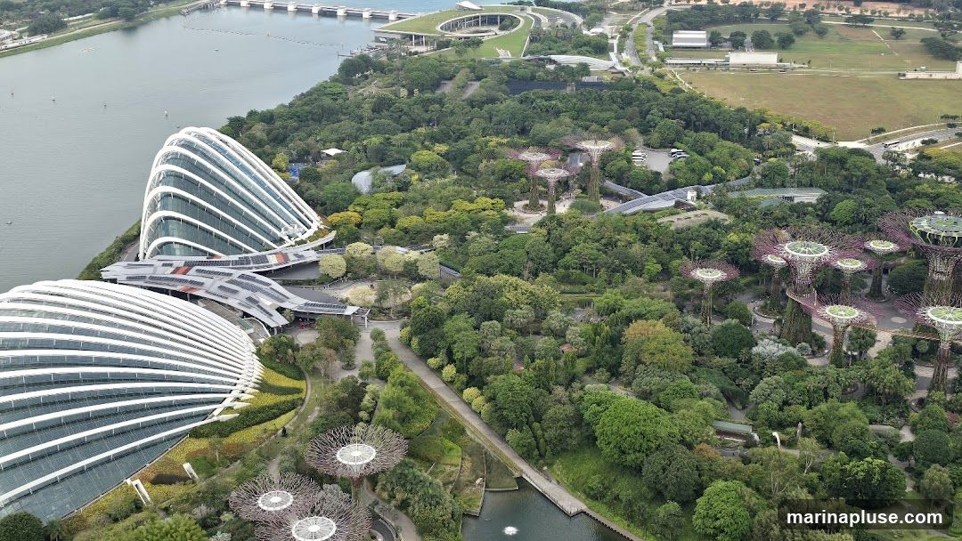 An aerial view of Gardens by the Bay in Singapore, showcasing its iconic Supertree Grove and large conservatories. The image captures the lush greenery, futuristic architecture of the domes, and the surrounding waterfront.