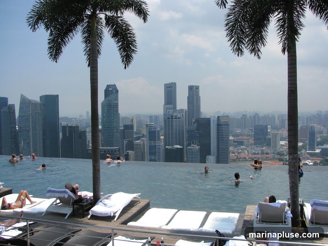 An infinity pool on a rooftop overlooks a dense cityscape with numerous skyscrapers. Several people are swimming in the pool, while others relax on lounge chairs on the deck. Two palm trees frame the view, one on the left and one on the right. The sky is partly cloudy.