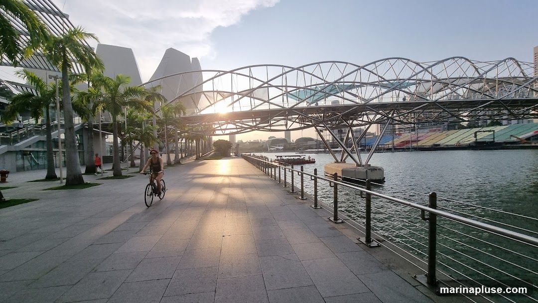 A woman is cycling on a paved walkway next to a body of water. Palm trees line the left side of the walkway, and a modern, curved bridge spans the water in the background. The sun is rising, casting long shadows and a warm glow on the scene. In the distance, a boat is visible on the water, and stadium seating with colorful panels can be seen on the far bank.